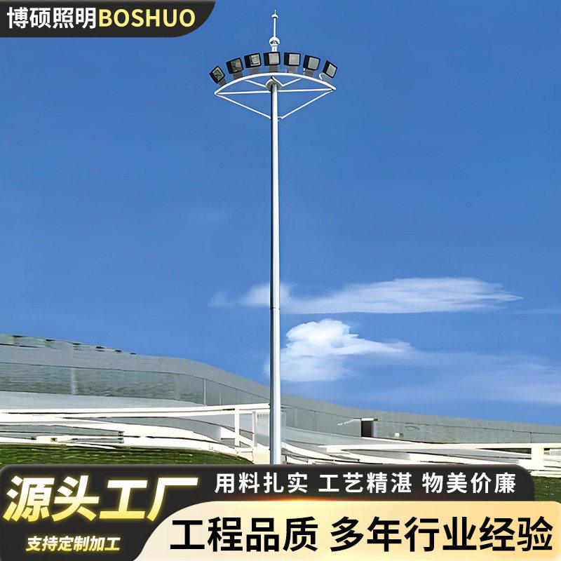 户外道路杆灯LED照明灯具户外路灯防水路灯广场公园操场杆灯