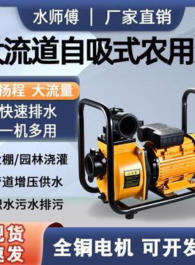 自吸离心泵220v380v高扬程大流量抽水机农用浇灌井水抽水泵自吸式