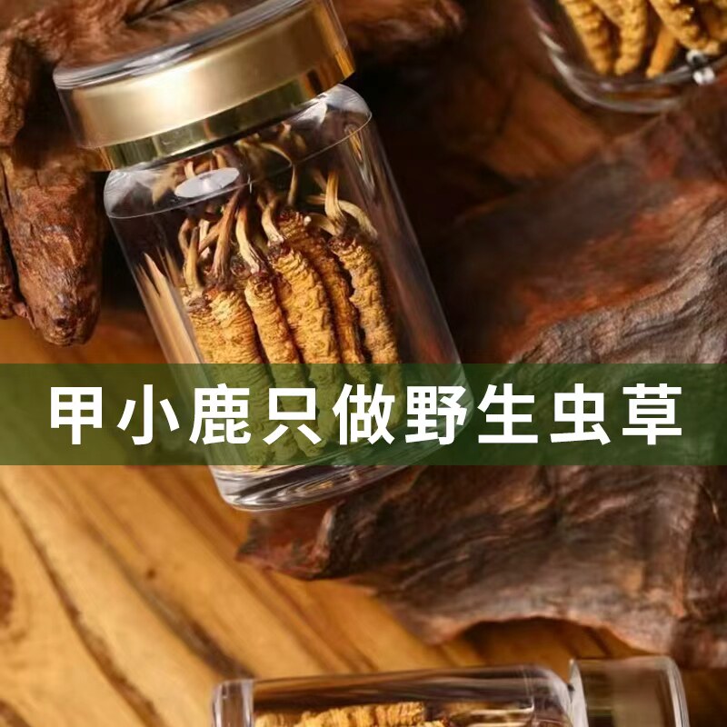 甲小鹿【中大草】藏区高海拔正宗野生冬虫夏草