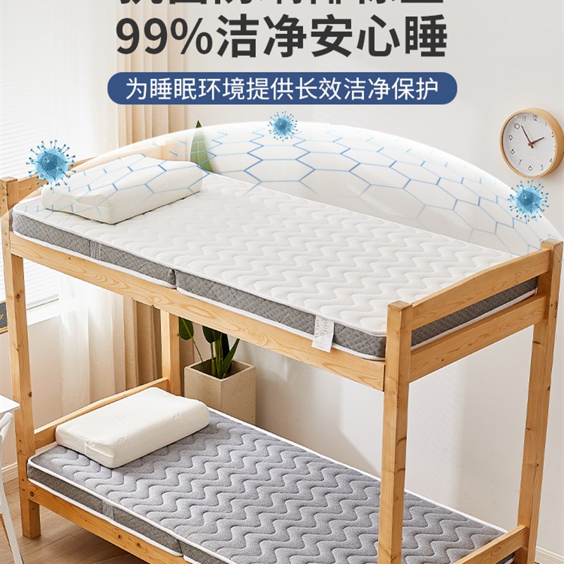 2024新款天然椰棕床垫软垫宿舍学生单人床褥垫榻榻米垫子租房