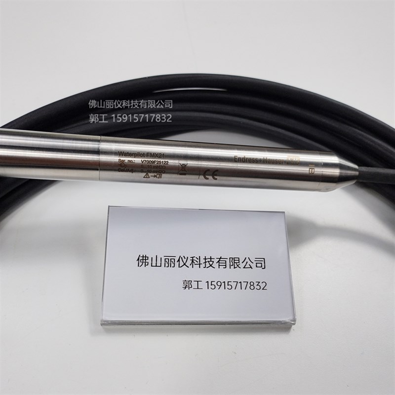 E+H 静压式液位计 投入式FMX21 恩德斯豪斯FMX167 FMX11 FMX165
