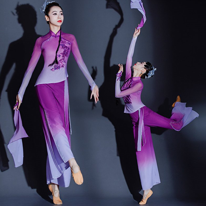 胶州秧歌舞演出服女飘逸2024新款艺考古典扇子舞蹈服广场舞两件套