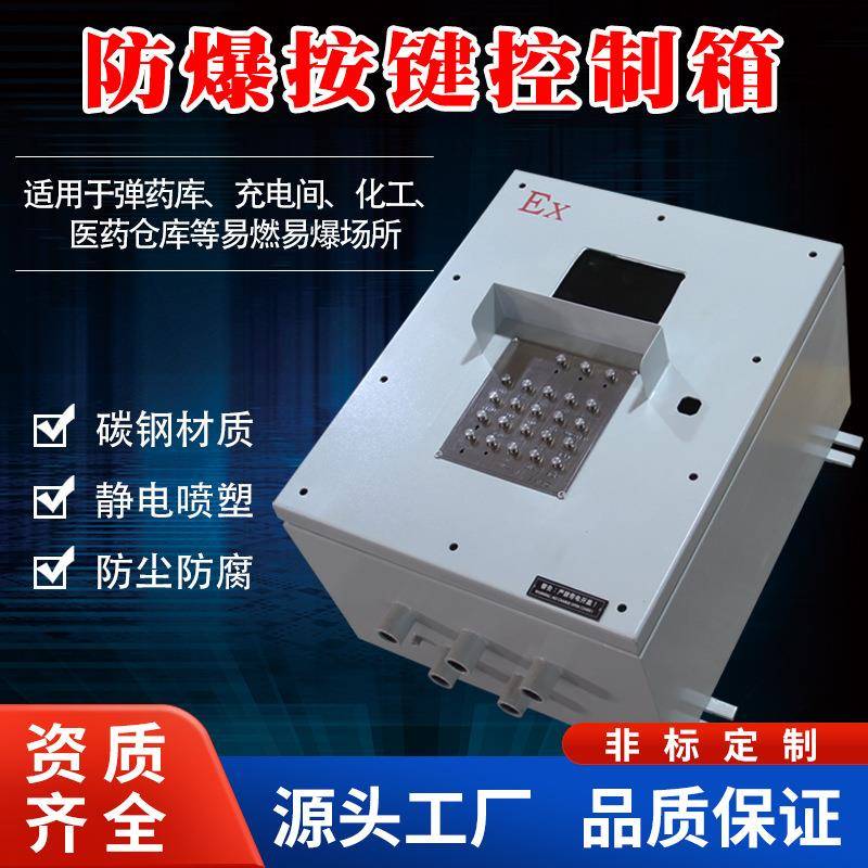 防爆按键控制箱安全配电箱碳钢专业仪表控制柜粉尘接线箱