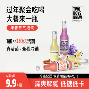 TBB精酿康普茶益生菌苏打气泡水碳酸饮料330ml 临期特价到26年5月