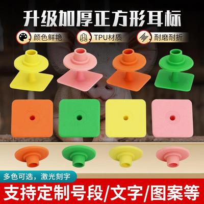 正方形封口防篡改耳标小猪耳标动物标识猪牛羊耳标TPU耳标防脱落
