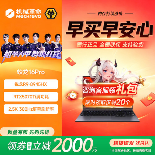 机械革命蛟龙16Pro5070Ti游戏本