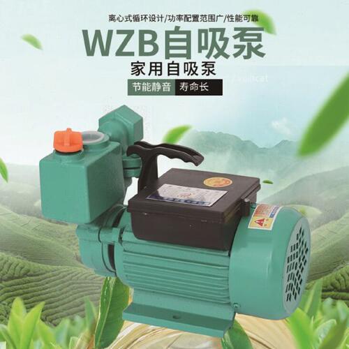 铜线 750W 家用 WZB 自吸泵 增压泵 高扬程太阳能增压泵 抽水泵