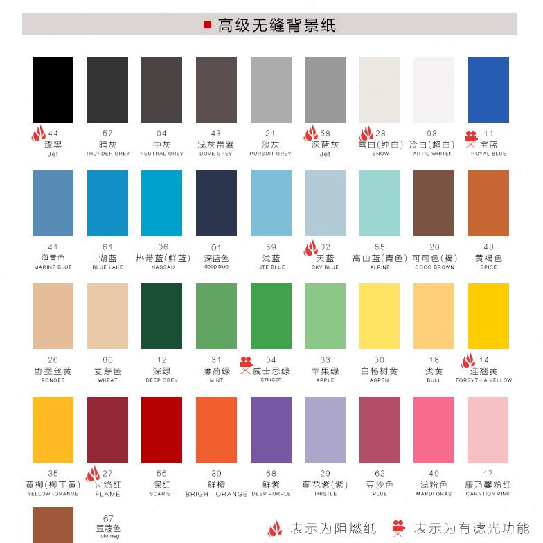 仙丽拍照背景纸摄影背景布纯色影楼拍摄背景白色照相婚纱影棚道具