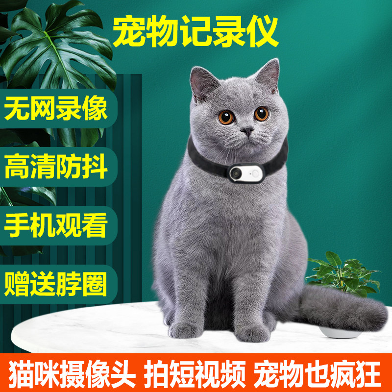 宠物摄像头猫狗视角记录仪录音录影防抖动物运动相机胸前项圈挂颈
