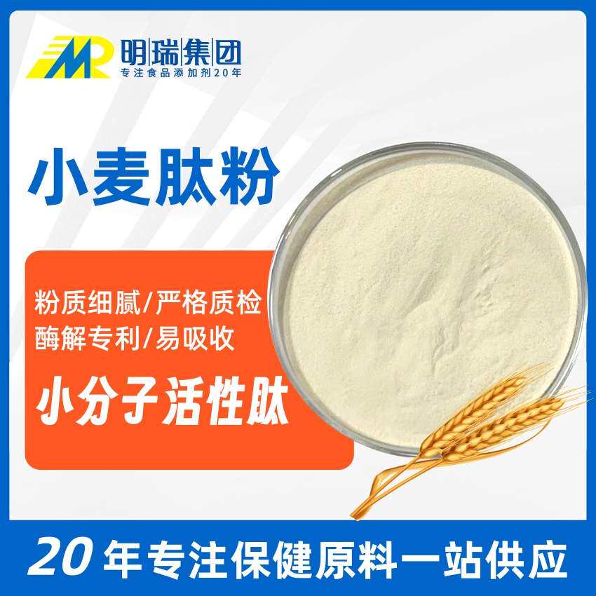 水解小麦肽粉 小麦提取物营养强化保健原料小分子活性肽小麦肽