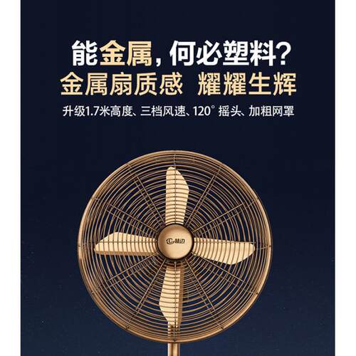 G5J林边金属落地扇家用大风力立式复古风扇