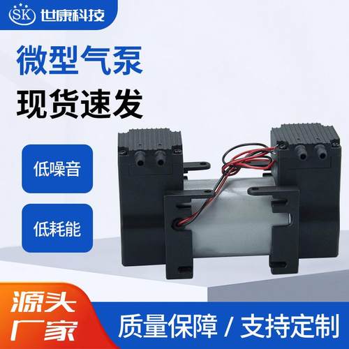 膜片小型2AP58-1大流量实验室真空泵微型耐腐蚀12V电动隔膜气泵