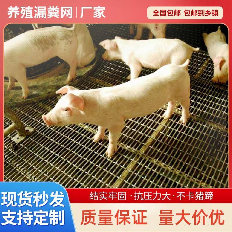 漏粪网猪床网猪用漏粪板保育肥产床网钢筋网狗笼铺底网养猪铁丝网