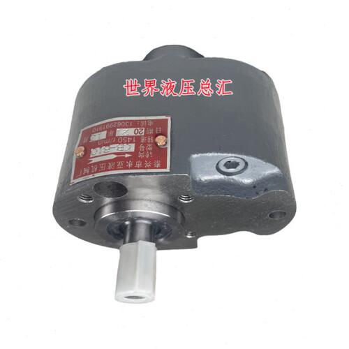 CB-B10/B6/B16/B20/B25/B32/B40/B50/B80/B63/125F齿轮油泵小型TH