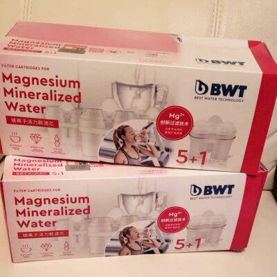 德国倍世BWT滤芯家用直饮净水壶滤水壶通用加强去垢镁离子滤芯