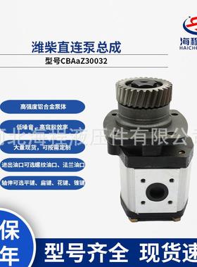 康弘骏玛道潍柴直连泵总成WP6配套1006411513型号CBAaZ30032