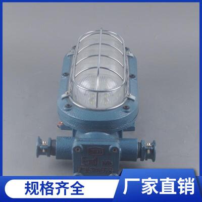 销售18W矿用支架灯液压支架照明灯DGC24/127L矿用隔爆型LED支架灯