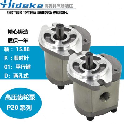 齿轮油泵P208RP01DT P204/6/211/214/216/219/222/225/233RP01DT