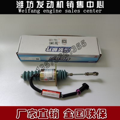 潍柴动力WD10船用WP12柴油发动机WP13熄火停车电磁阀铁1004868927
