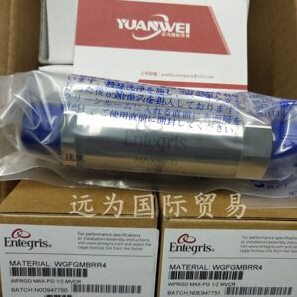 美国ENTEGRIS英特格过滤器WG2FT1SS2