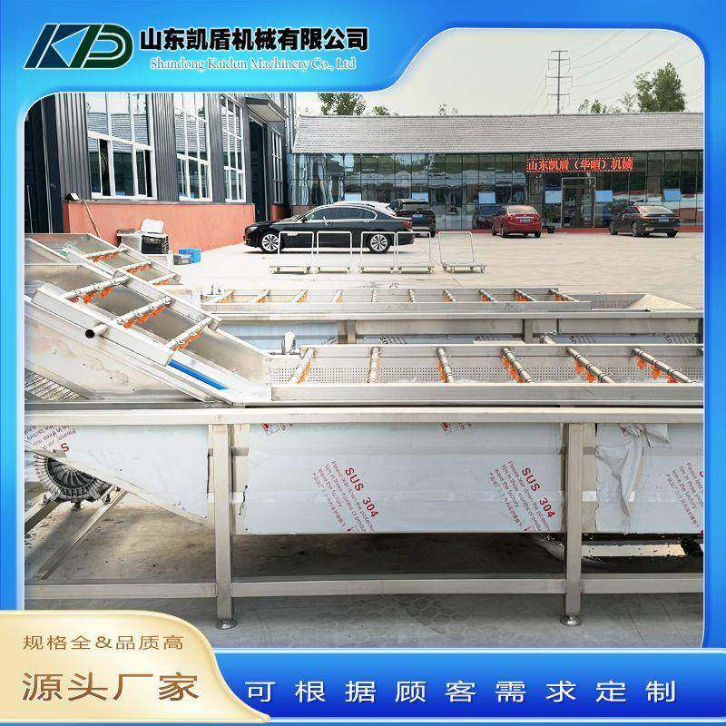 蔬菜水果气泡清洗机高压喷淋式多功能大型中药材五金件果蔬清洗机