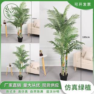 网红热款 饰布置用假树造景 大型造景仿真葵树棕榈树盆裁室内客厅装