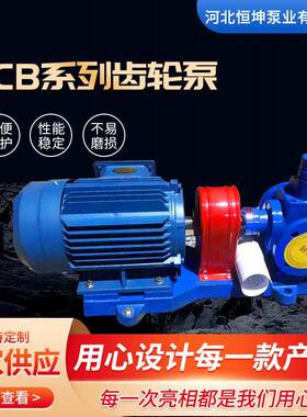 铸铁YCB圆弧齿轮泵自吸式抽油润滑泵电动输送液压齿轮泵