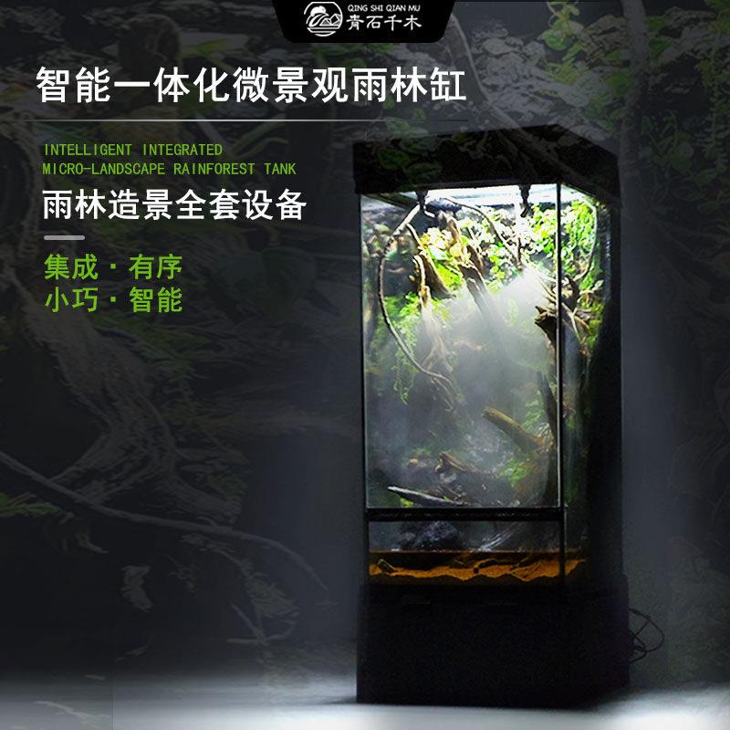 小型雨林缸雨林灯造景套餐全套智能控制系统生态缸微景观桌面简洁