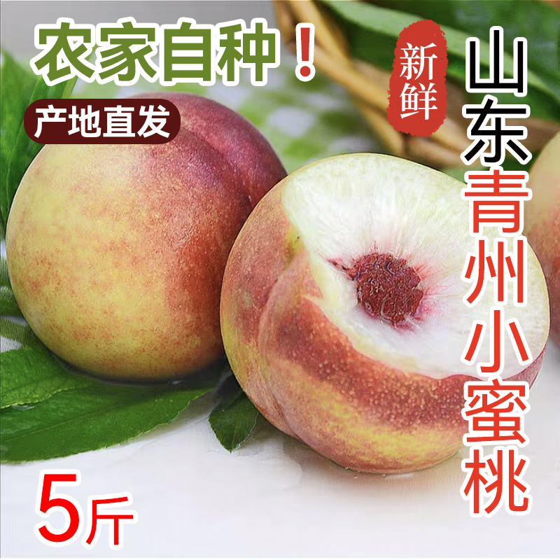 正宗青州蜜桃山东水果桃子新鲜