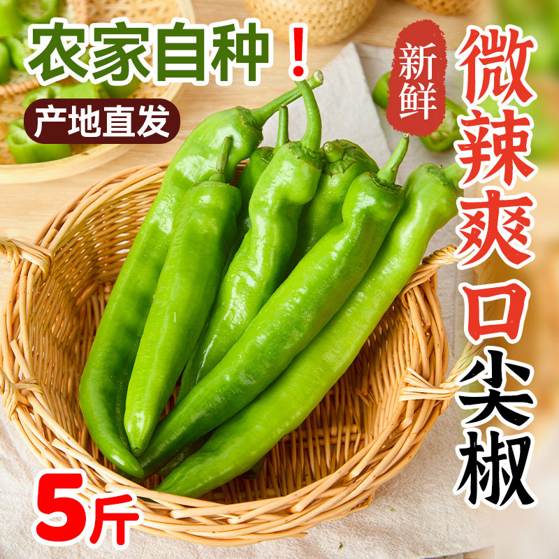青辣椒脆辣青椒调味配菜黄皮尖椒羊角椒新品新鲜微辣自种产地直发