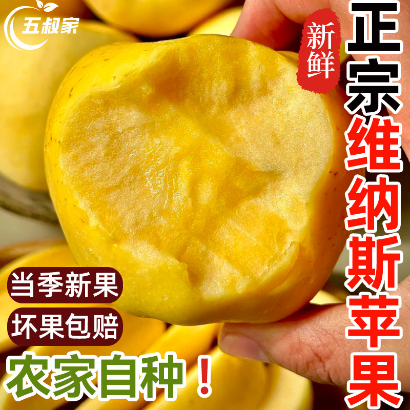 山东正宗维纳斯黄金苹果新鲜水果脆甜丑苹果奶油冰糖心整箱当季,水产肉类/新鲜蔬果/熟食,苹果,淘宝优惠券,粉丝福利购,淘宝优惠卷