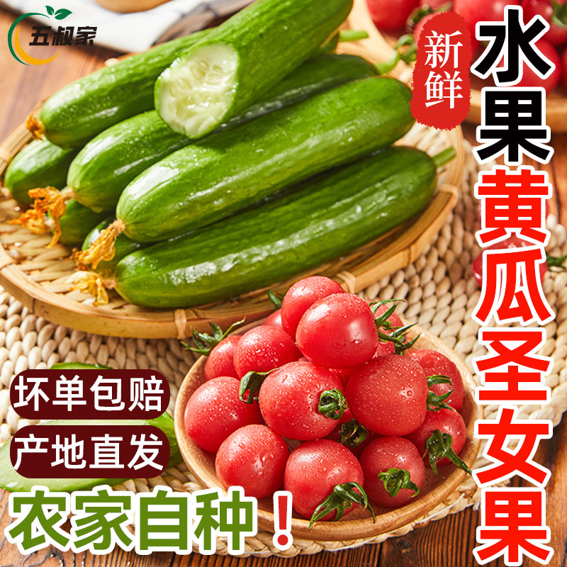 水果黄瓜圣女果组合新鲜樱桃小番茄西红柿即食生吃脆嫩自然熟蔬菜,水产肉类/新鲜蔬果/熟食,番茄,淘宝优惠券,粉丝福利购,淘宝优惠卷
