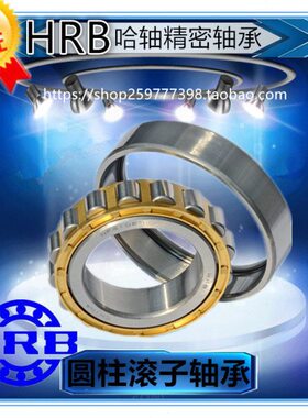 HRB 哈尔滨轴承 N RN NU NJ NF NUP RNU 1021 M 圆柱滚子轴承