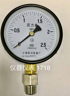 压力表  压力2.5mpa 表壳直径100mm 加不锈钢接头四分螺纹 ZG1/2