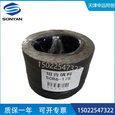 吹灰器填料组SCB6-17S密封填料 内管组合填料 盘根环 石墨填料环
