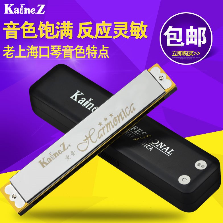 德国进口音簧24孔复音口琴专业演奏级重音高级C/A/B/D/E/F/G#12调