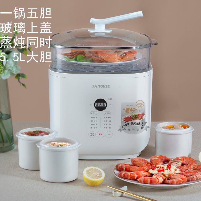 天际全自动隔水电炖盅燕窝陶瓷电炖锅煮粥煲汤锅预约5.5L蒸炖燕窝