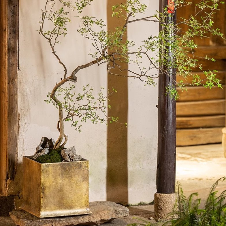 绿植花器椿台花盆室内客厅植物装饰复古新中式高级水泥盆摆件搭配