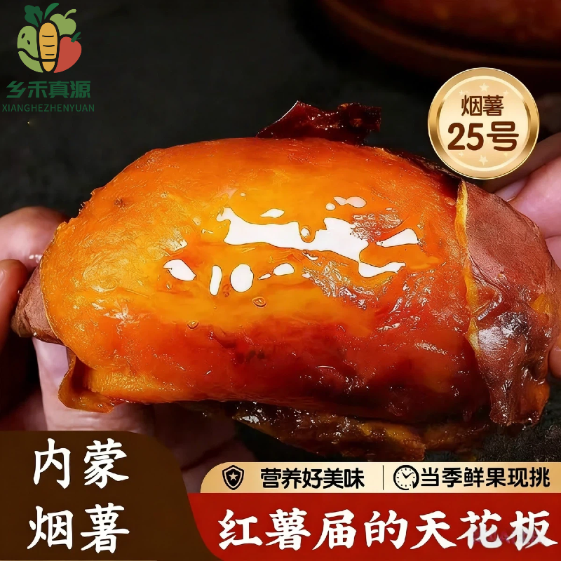 内蒙沙地红薯25号新鲜糖心蜜薯