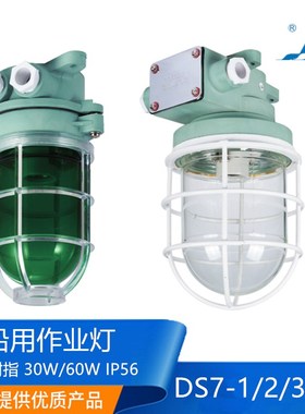 海星船用塑料树脂白炽作业灯DS7-1/2/3/4M防水舱顶灯220V60W正品