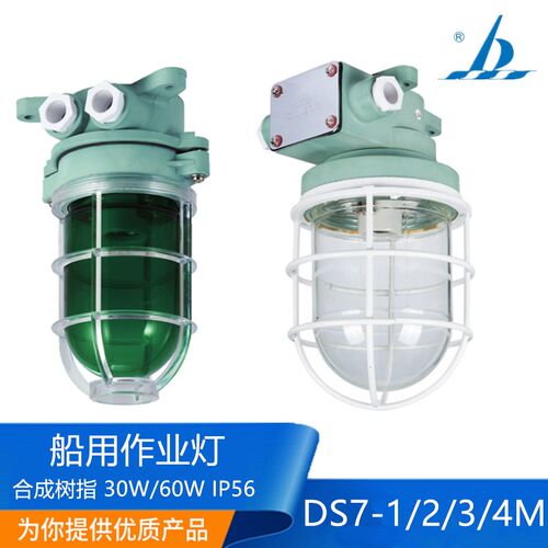 海星船用塑料树脂白炽作业灯DS7-1/2/3/4M防水舱顶灯220V60W正品