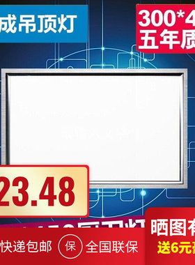 天花板灯300X450集成吊顶LED平板灯 嵌入式厨房灯 厨卫灯30X45 矿