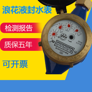 连云港浪花家用水表防带止回阀防冻坏防起雾液封高灵敏水表