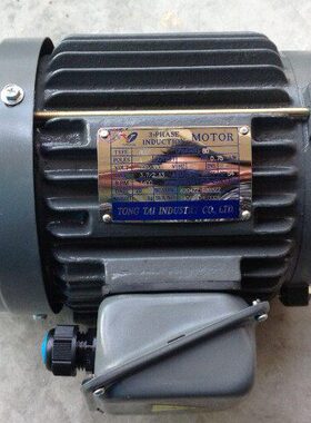 TONG TAI电机 TONGTAI马达    TONG TAI   AEEF 1/2HP 0.37W