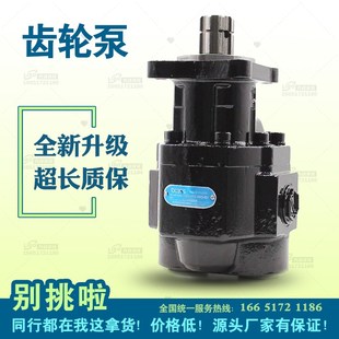 F1翻斗车液压齿轮泵 P100 海沃自卸车齿轮泵举升l泵KL