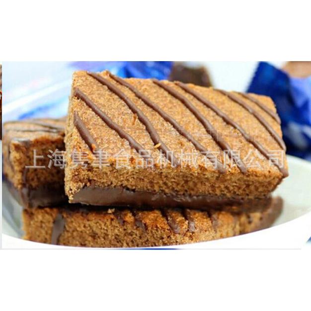 供销蔓越莓蛋糕充气机 出口专用芝士蛋糕钢带烤炉 上海原产地厂家