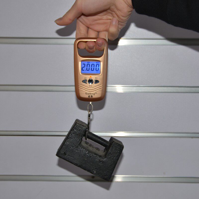 威衡土豪金 手提秤迷你电子称手提电子称 称重 电子称 便携秤50kg