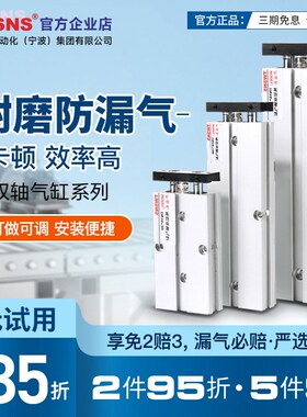 TWSNS双杆气缸TN10*16双轴双出小型20x30x40x50x60x70x80x90