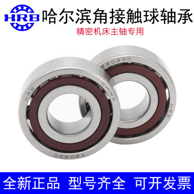 哈尔滨角接触轴承7306AC 7305  7303 7304 7308 7307 7309 7310P4