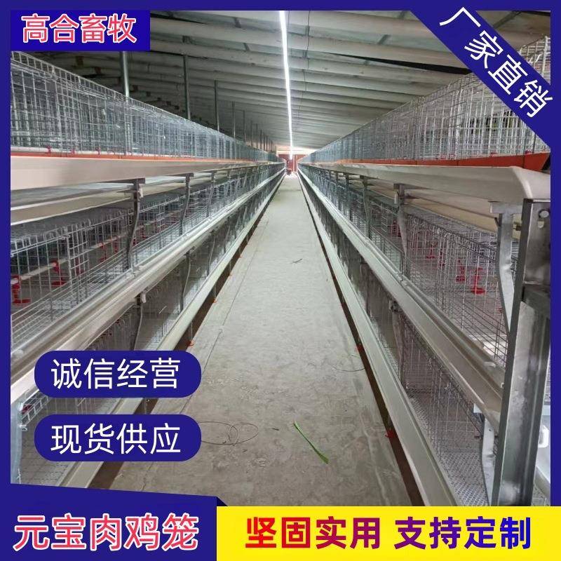 立体元宝肉鸡笼白食槽绿石槽厂家现货养鸡鸡舍镀锌外贸养殖笼